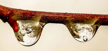 Comment récupérer les eaux de pluie et quelle utilité pour la maison?