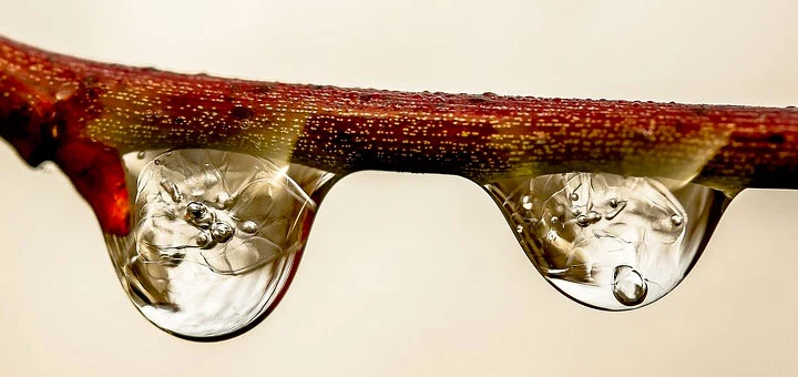 Comment récupérer les eaux de pluie et quelle utilité pour la maison?