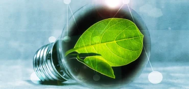 L’énergie verte : plus qu’une simple tendance