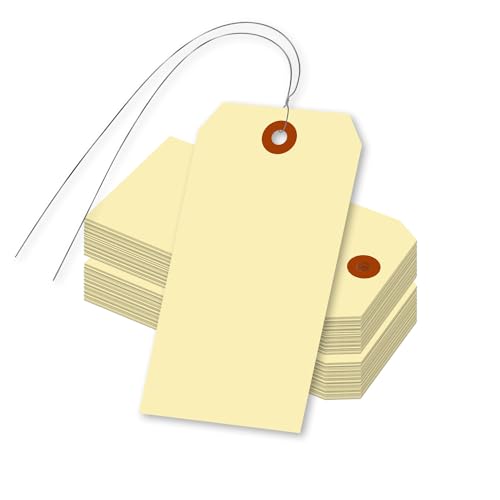 SmartSign Lot de 1000 étiquettes dexpédition Manille de 12,1